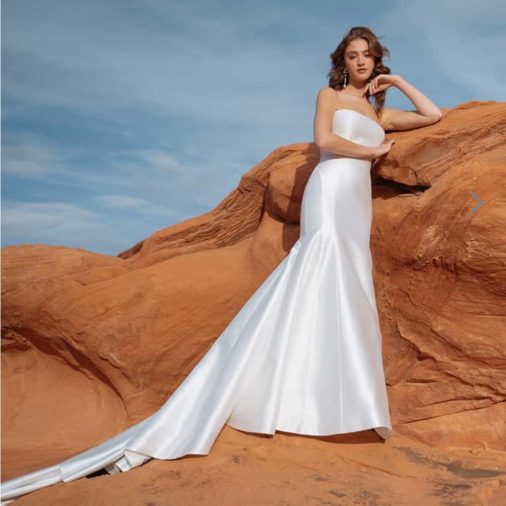 Jenny Yoo Classic White Strapless Wedding Dress (Lucia Wedding Dress) - Picture 3 of 11